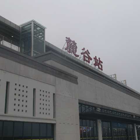 靜態(tài)標(biāo)識設(shè)計(jì)案例：麓谷站